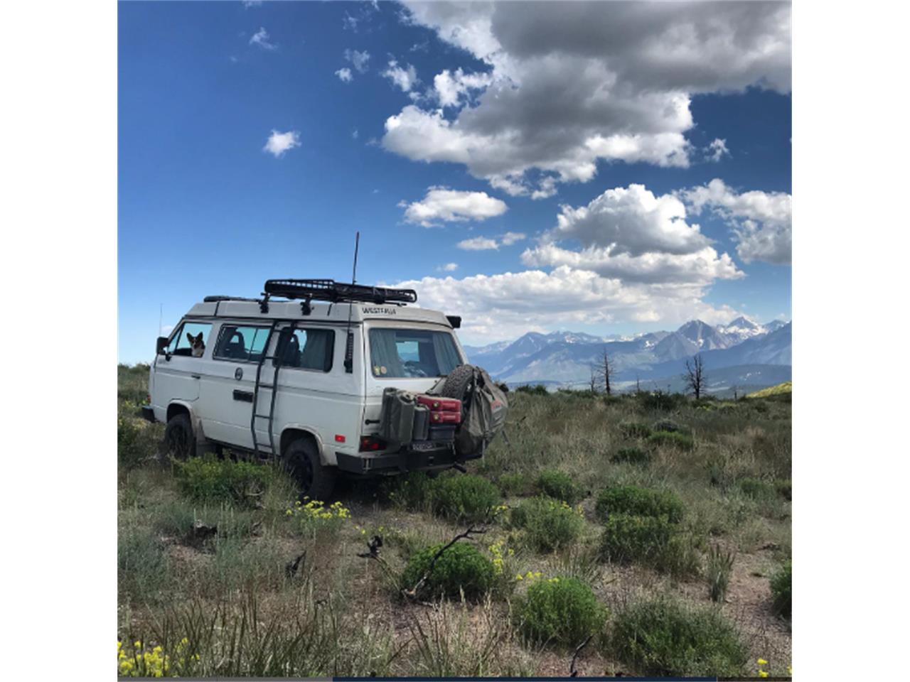 Volkswagen-Syncro-1986-White-Brown-16