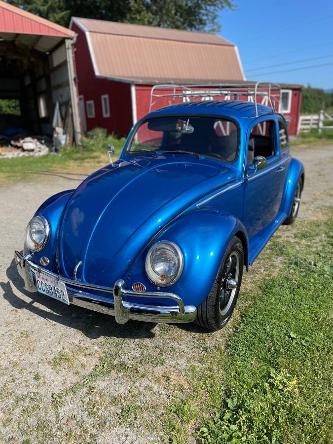 Volkswagen-beetle-1963-blue-1