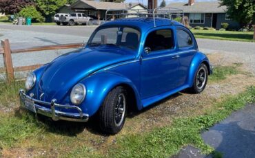 Volkswagen-beetle-1963-blue-2