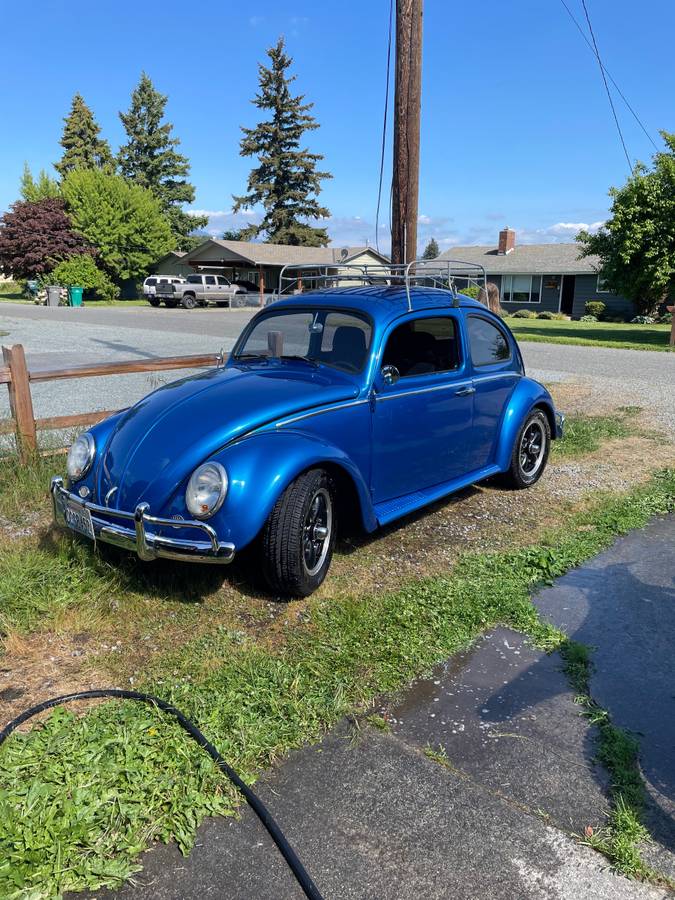 Volkswagen-beetle-1963-blue-2