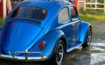 Volkswagen-beetle-1963-blue-3