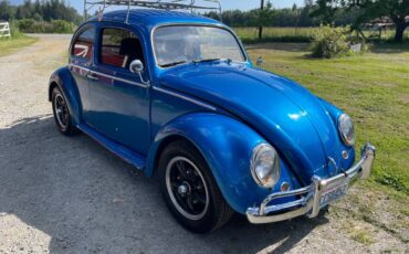 Volkswagen-beetle-1963-blue