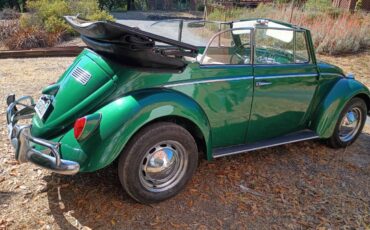 Volkswagen-beetle-1965-green-1