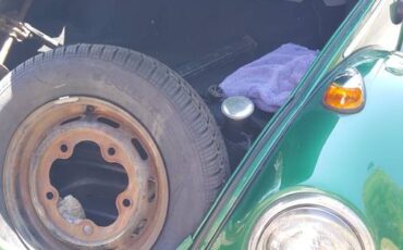 Volkswagen-beetle-1965-green-10