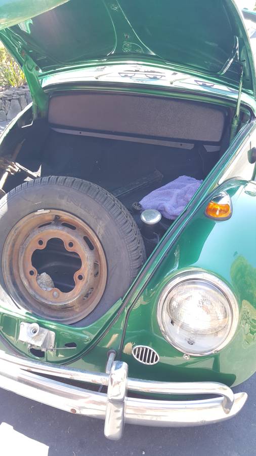 Volkswagen-beetle-1965-green-10