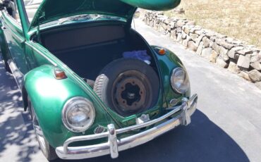 Volkswagen-beetle-1965-green-11