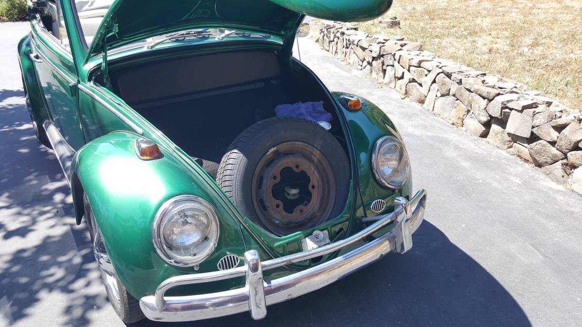 Volkswagen-beetle-1965-green-11