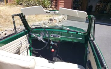 Volkswagen-beetle-1965-green-12