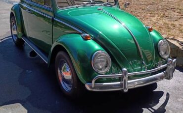 Volkswagen-beetle-1965-green-13