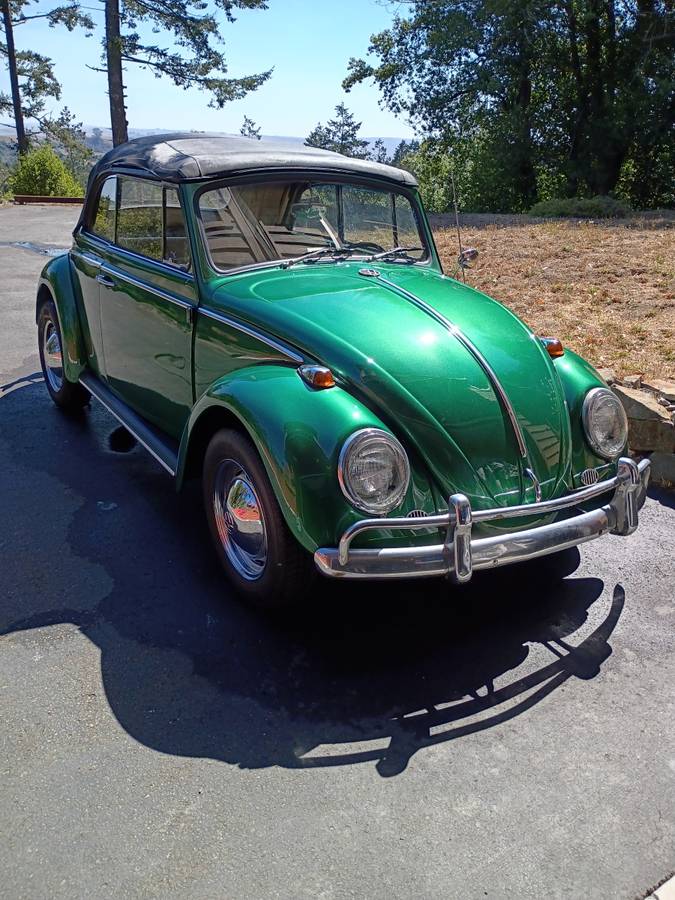 Volkswagen-beetle-1965-green-13