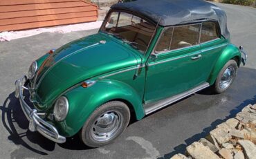 Volkswagen-beetle-1965-green-14