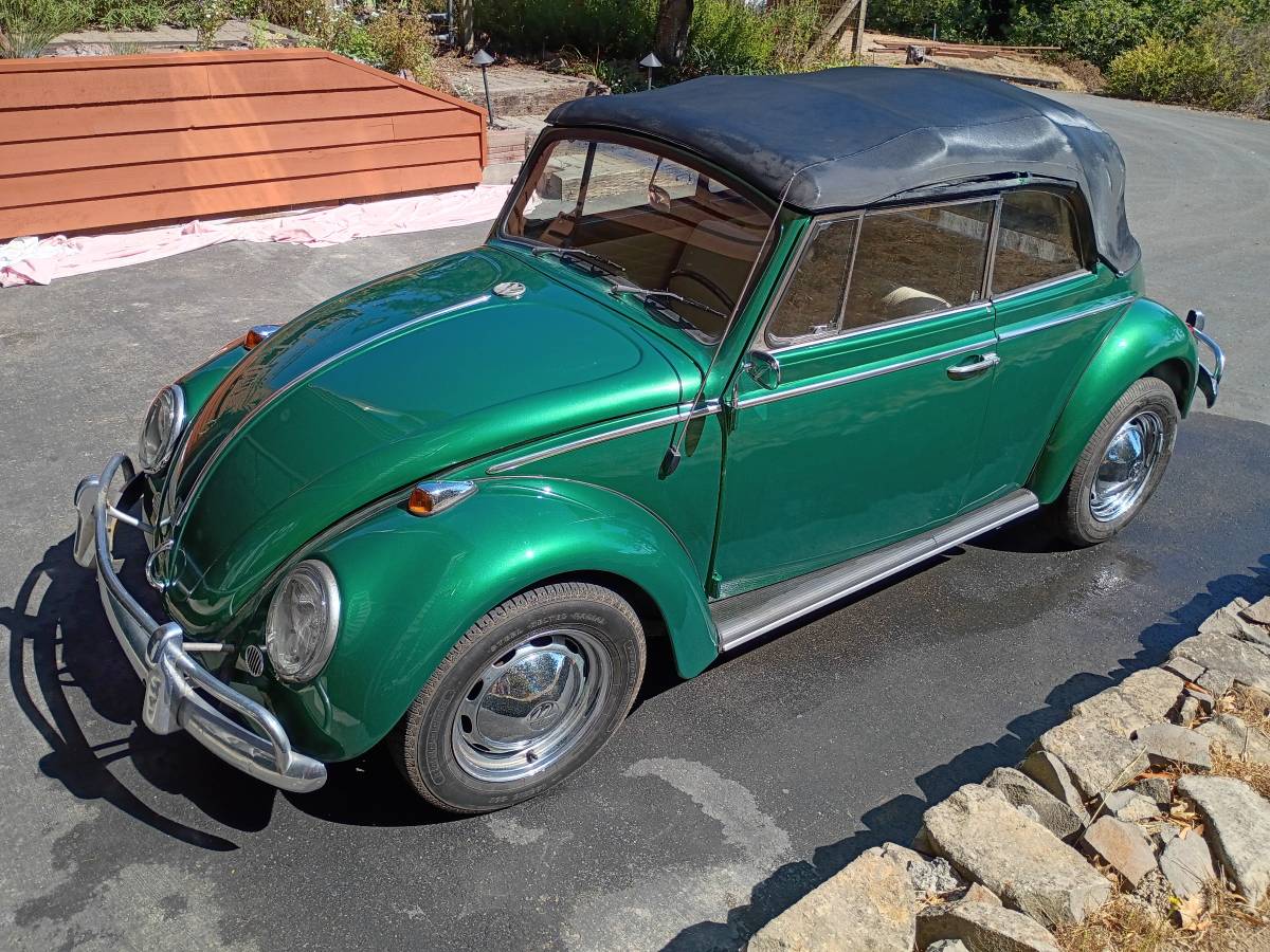 Volkswagen-beetle-1965-green-14