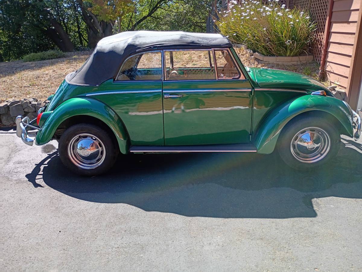 Volkswagen-beetle-1965-green-15