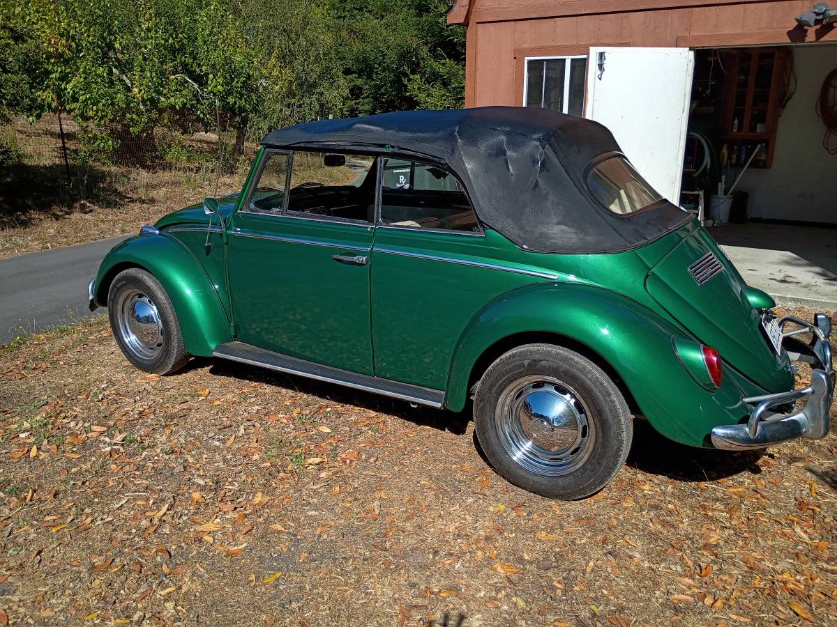Volkswagen-beetle-1965-green-16