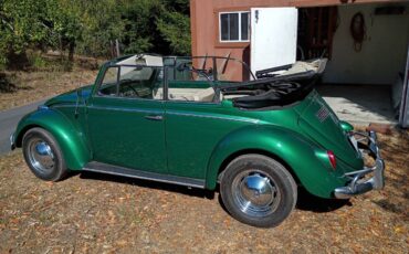 Volkswagen-beetle-1965-green-2