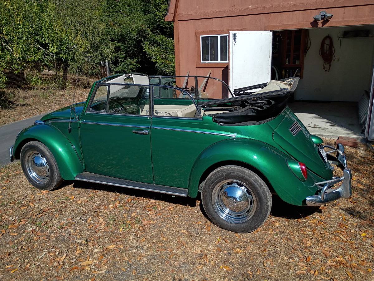 Volkswagen-beetle-1965-green-2