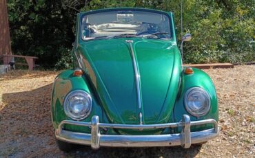 Volkswagen-beetle-1965-green-3