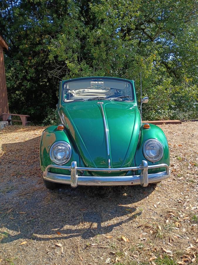 Volkswagen-beetle-1965-green-3