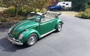 Volkswagen-beetle-1965-green-4