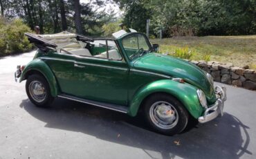 Volkswagen-beetle-1965-green-5