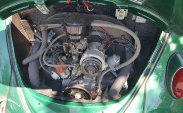 Volkswagen-beetle-1965-green-6