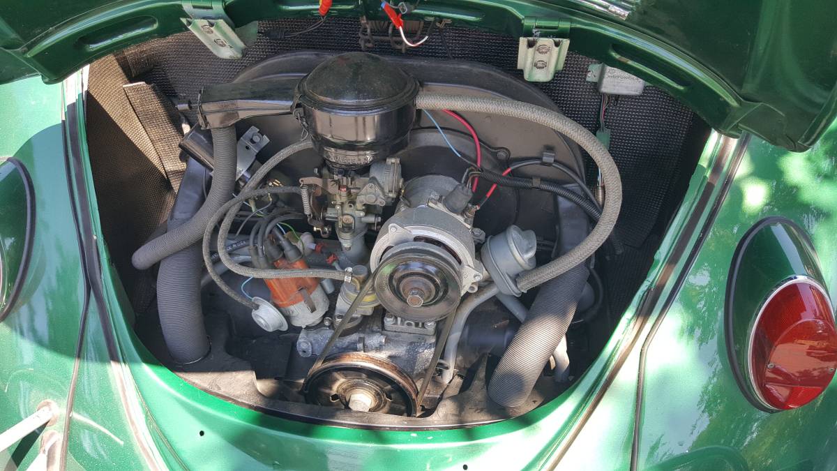 Volkswagen-beetle-1965-green-6