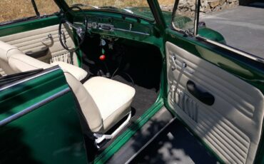 Volkswagen-beetle-1965-green-8