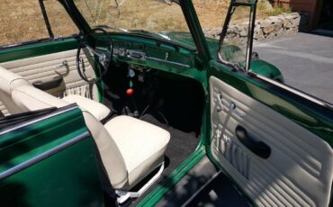 Volkswagen-beetle-1965-green-9