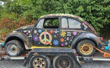 Volkswagen-beetle-1966-4