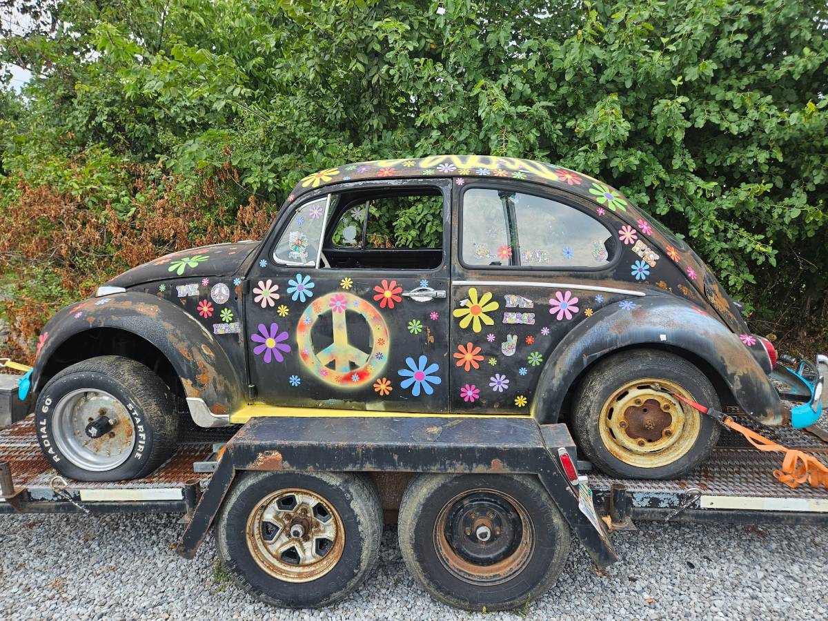 Volkswagen-beetle-1966-4
