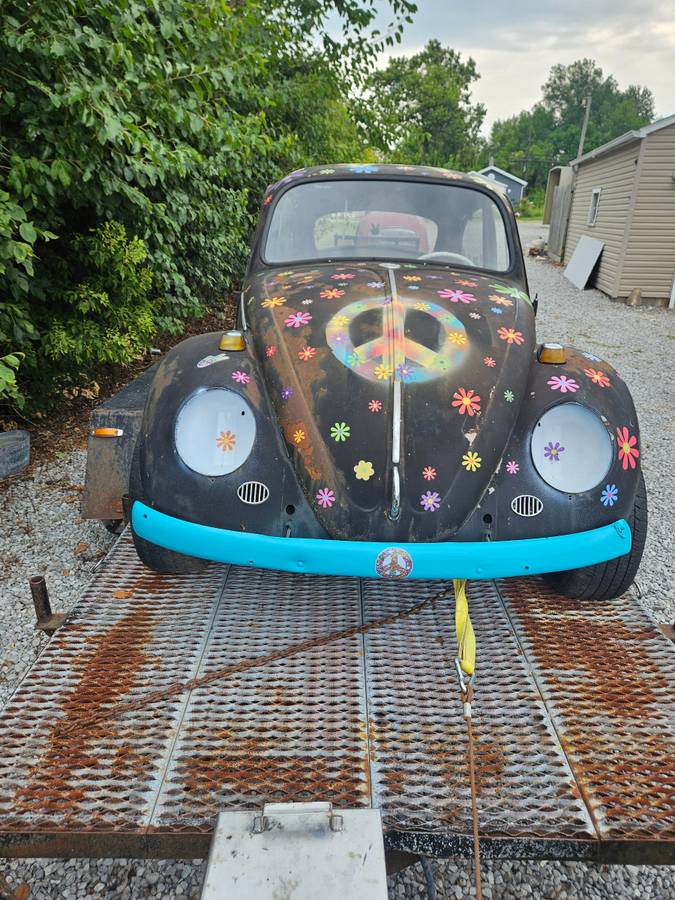 Volkswagen-beetle-1966-5