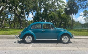 Volkswagen-beetle-1966-blue-3