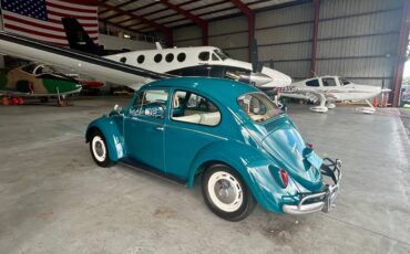 Volkswagen-beetle-1966-blue