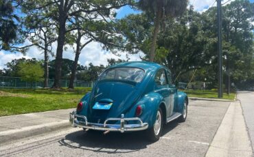 Volkswagen-beetle-1966-blue-4