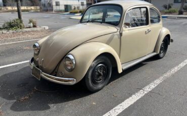 Volkswagen-beetle-1967-custom-2