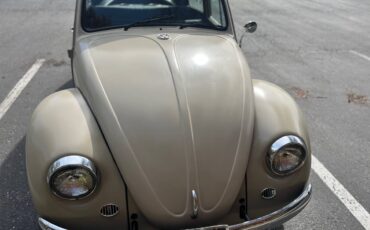 Volkswagen-beetle-1967-custom-3