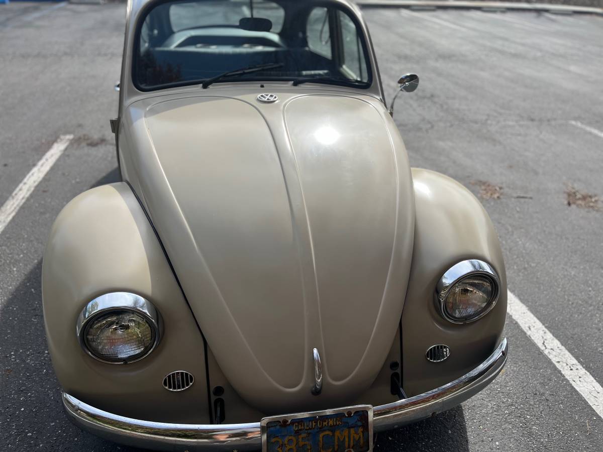Volkswagen-beetle-1967-custom-3