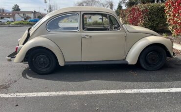 Volkswagen-beetle-1967-custom