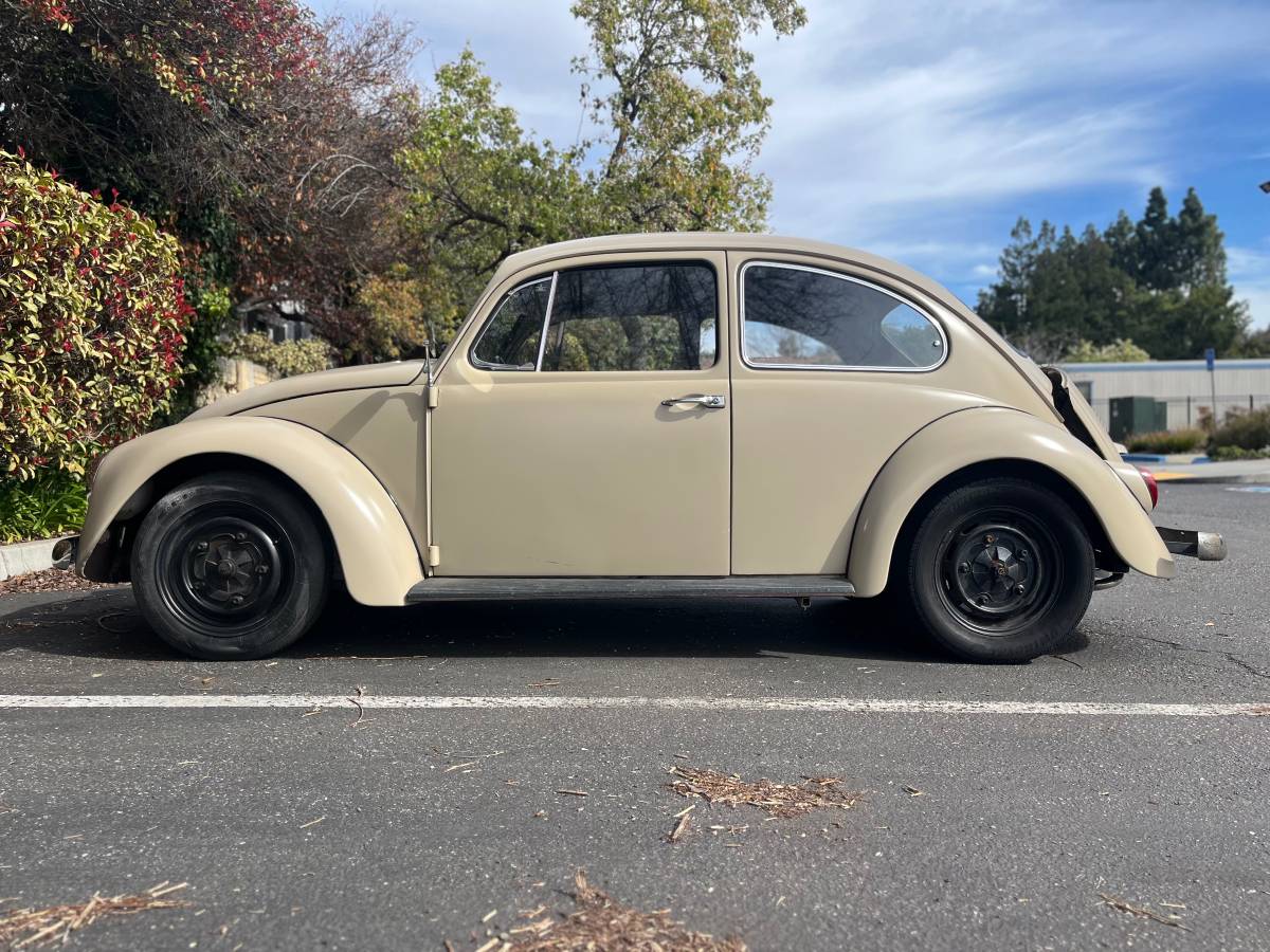 Volkswagen-beetle-1967-custom-6