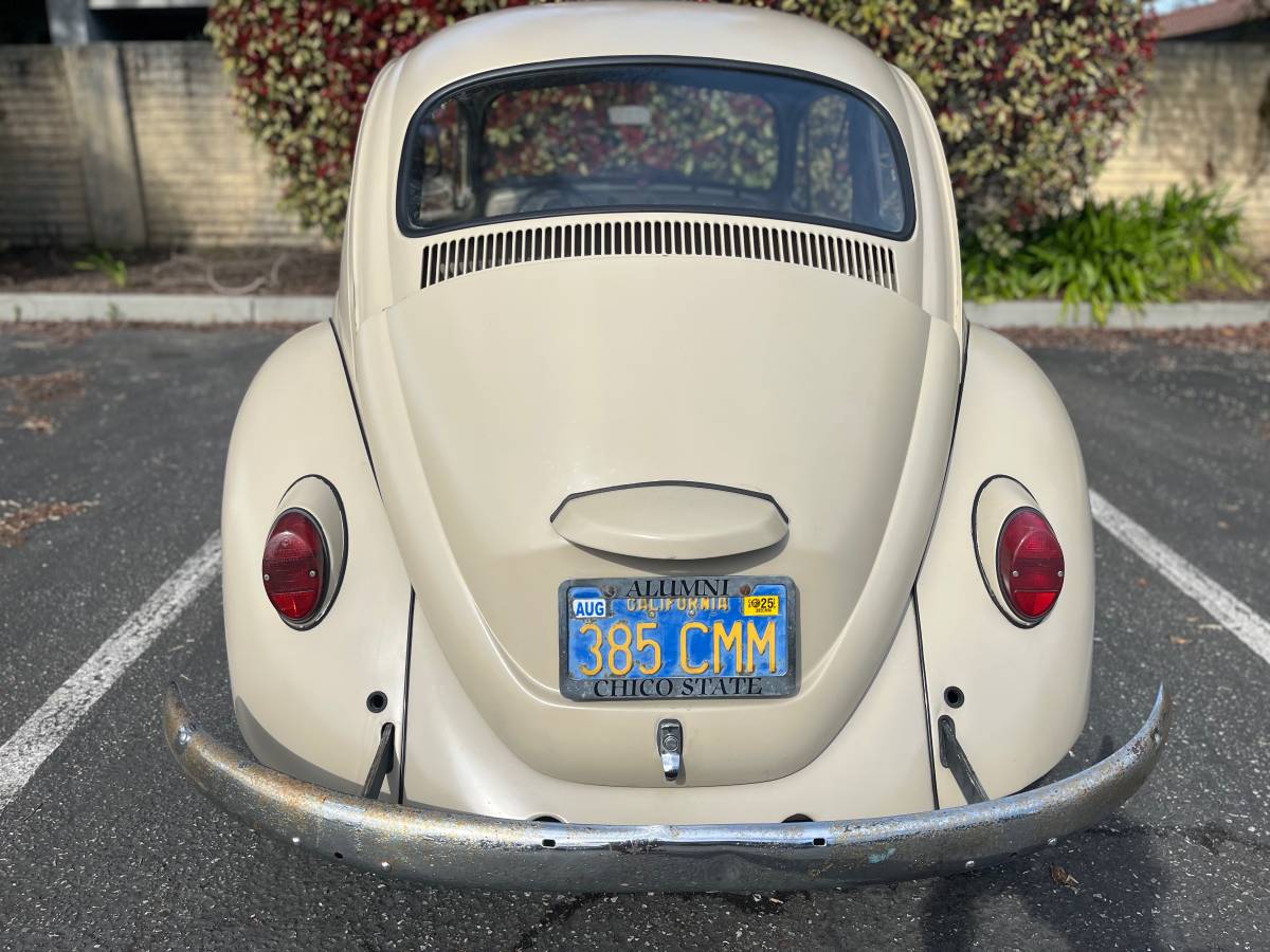 Volkswagen-beetle-1967-custom-7