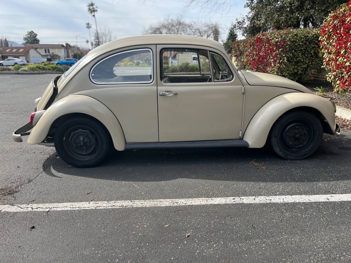 Volkswagen-beetle-1967-custom