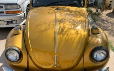 Volkswagen-beetle-1971-10