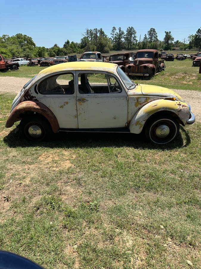 Volkswagen-beetle-1973-yellow-8