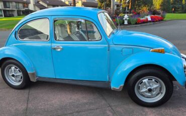 Volkswagen-beetle-1975-blue-1