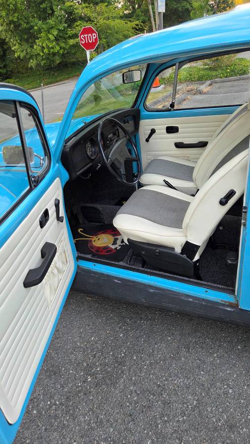 Volkswagen-beetle-1975-blue-11