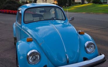 Volkswagen-beetle-1975-blue-12