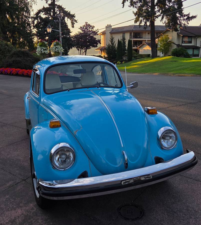 Volkswagen-beetle-1975-blue-12