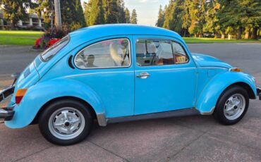 Volkswagen-beetle-1975-blue-13