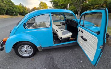 Volkswagen-beetle-1975-blue-19