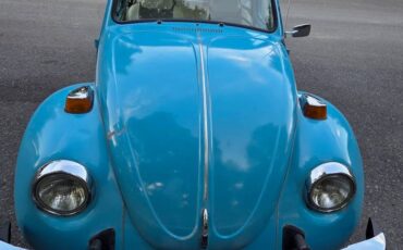 Volkswagen-beetle-1975-blue-3